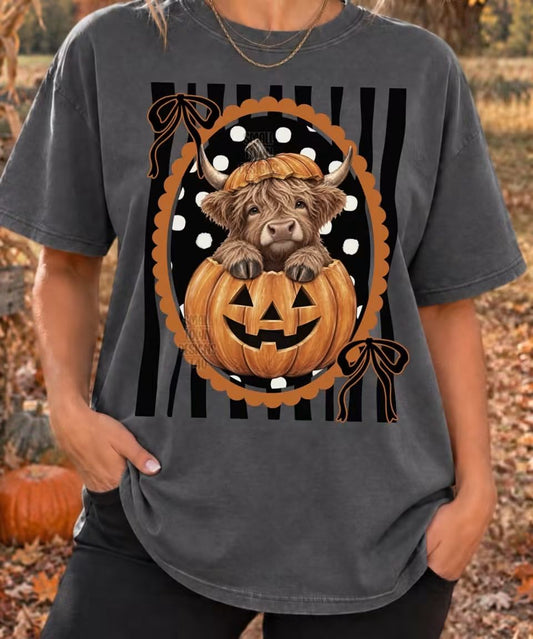 Cute animal pumpkins